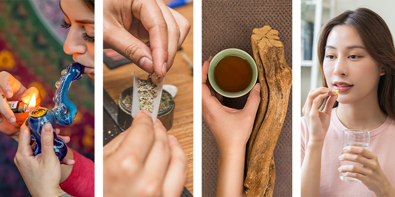 Hvordan indtages DMT? Hvordan indtages DMT?