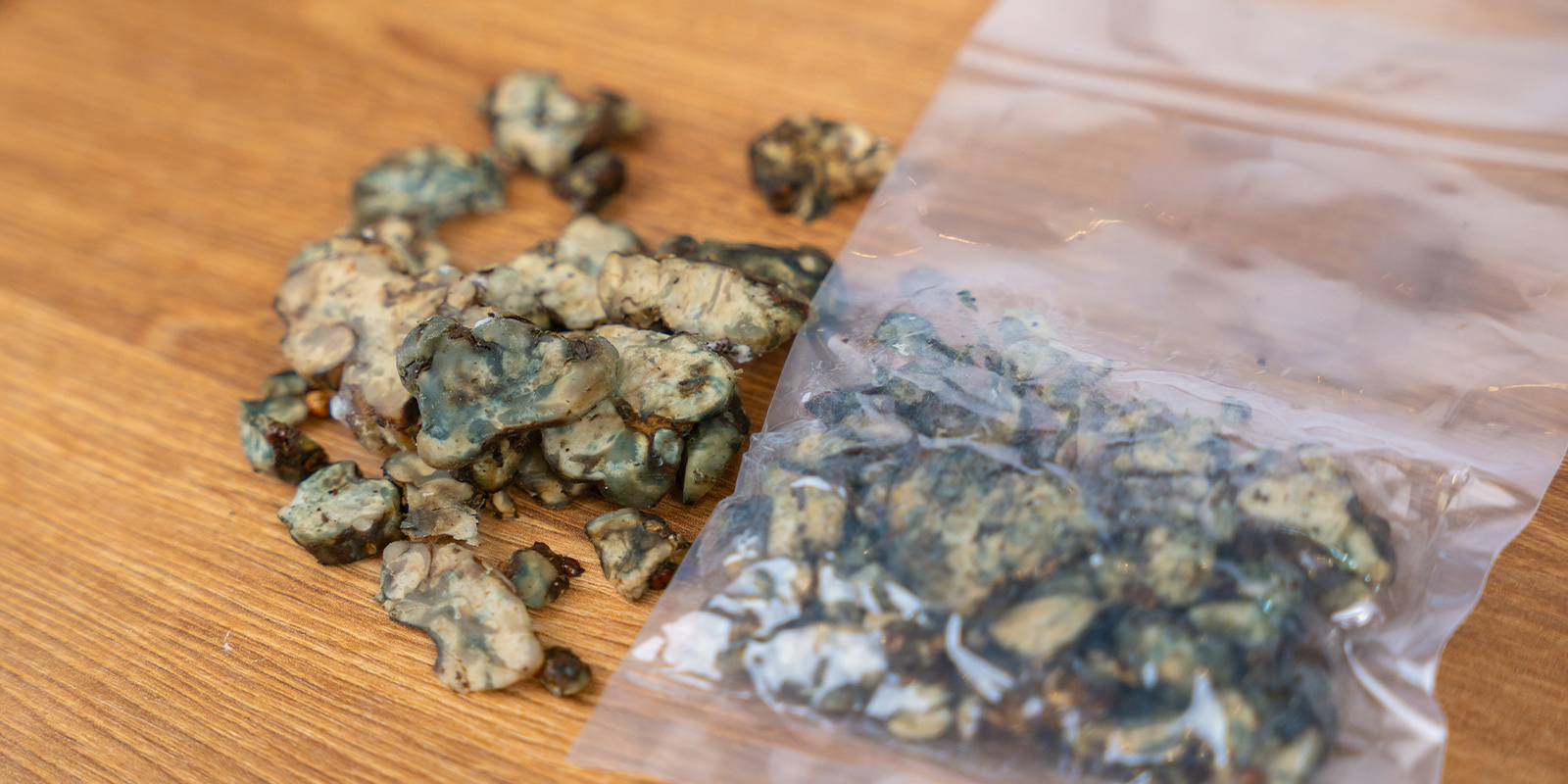 Sådan ser du, om magiske trøfler er blevet dårlige How to tell if magic truffles have gone bad