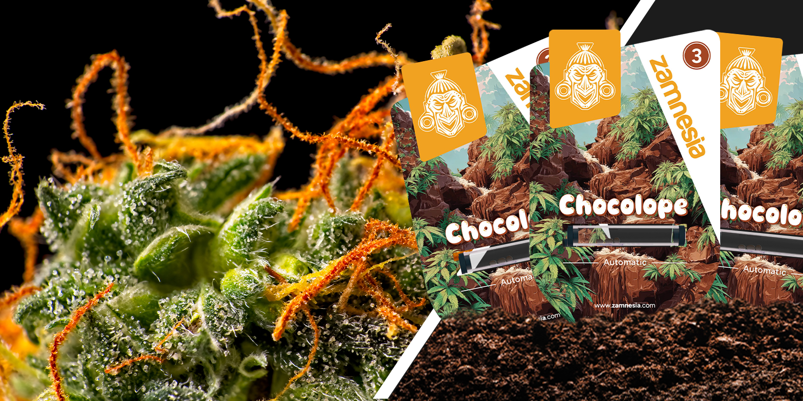 Chocolope: En nostalgisk vibe med et twist af chokolade Chocolope: En nostalgisk vibe med et twist af chokolade