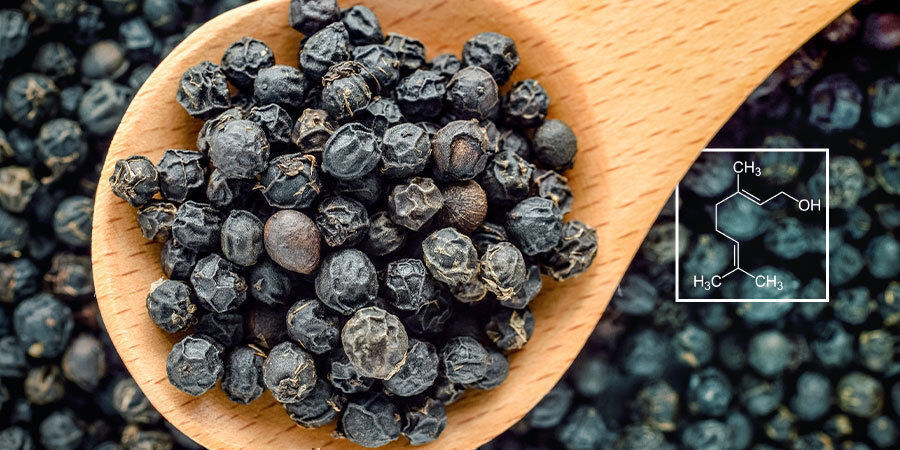 Videnskaben bag terpener