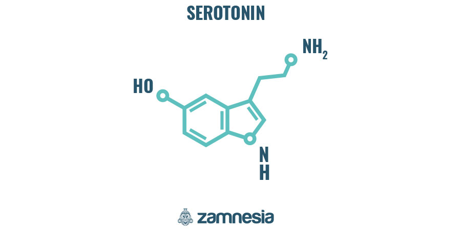 Hvordan virker LSD? Hvordan virker LSD?