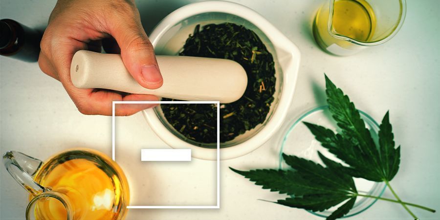 Ulemper ved cannabisinfuseret olivenolie Ulemper ved cannabisinfuseret olivenolie