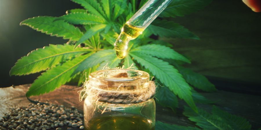 Dosering af cannabisinfuseret olivenolie Dosing Cannabis-Infused Olive Oil