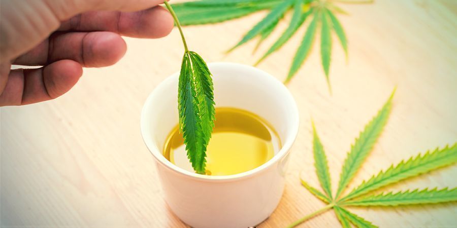 Hvad er cannabisinfuseret olivenolie? Hvad er cannabisinfuseret olivenolie?