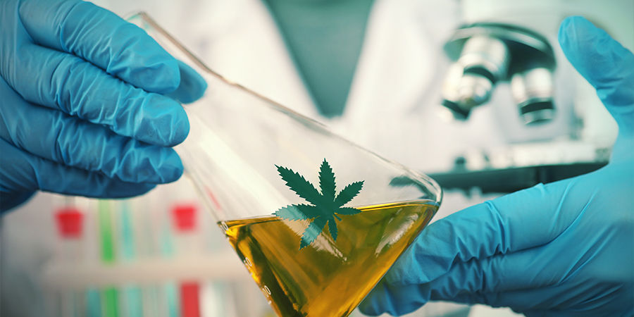 Autos bliver ved med at blive bedre Autoflowering cannabissorter bliver ved med at blive bedre