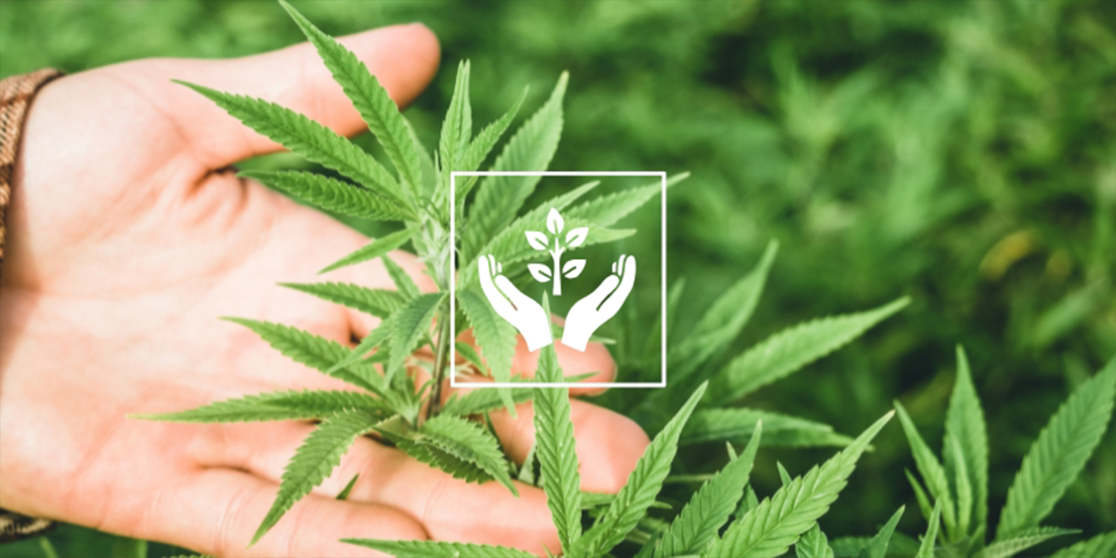 Grund #8: Terapeutisk & mindful