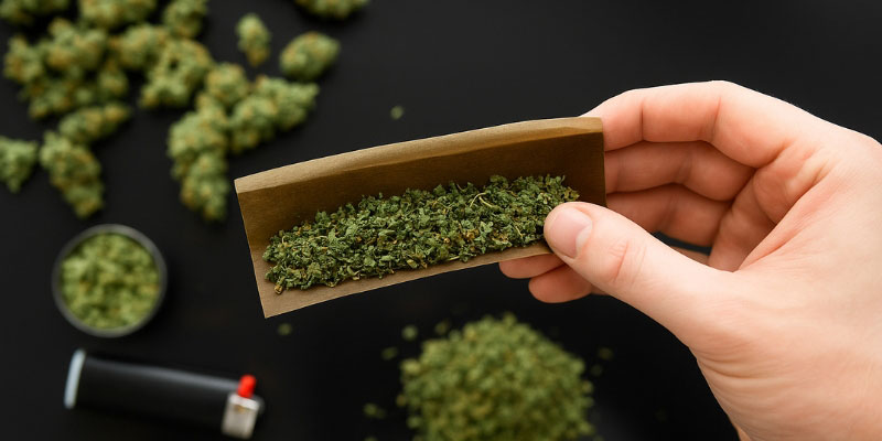 CBD-blomst (mest populær) CBD flower (most popular)