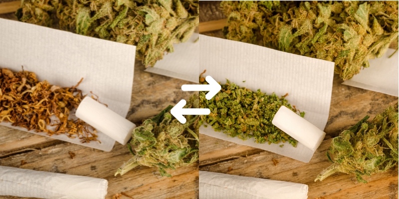 Hvorfor skifte tobakken ud i dine spliffs? Why switch from tobacco in your spliffs?