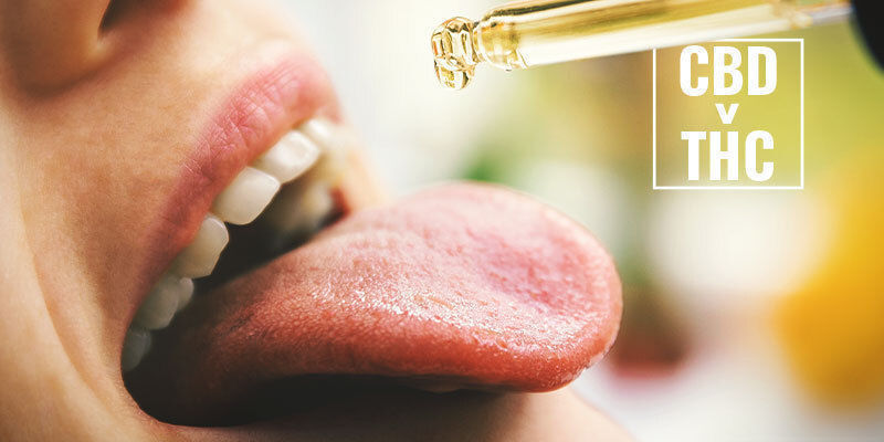 Kan CBD omdannes til THC i kroppen? Kan CBD omdannes til THC i kroppen?