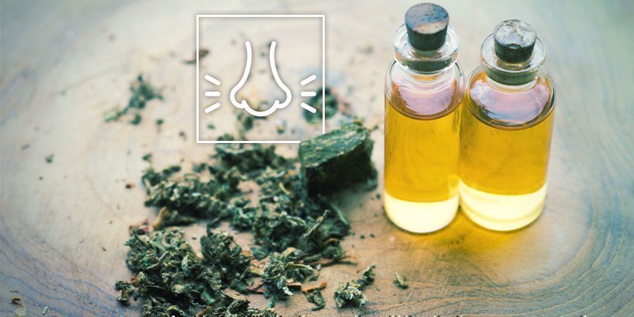 Slip spændinger med cannabis: Tænk over terpenerne