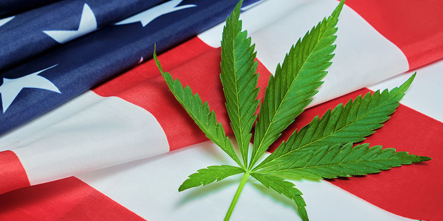 Hvor stor er cannabisindustrien i USA? Hvor stor er cannabisindustrien i USA?