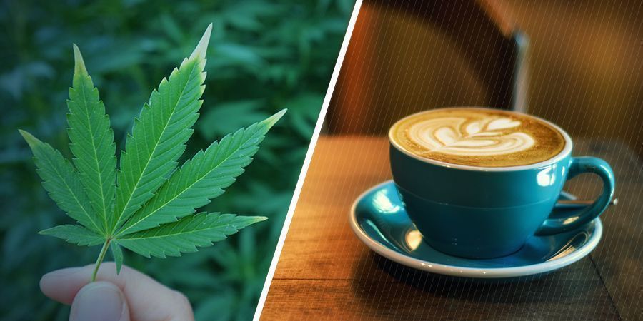 Hvad er de enkelte virkninger af marihuana og koffein? HVAD ER DE ENKELTE VIRKNINGER AF MARIHUANA OG KOFFEIN?