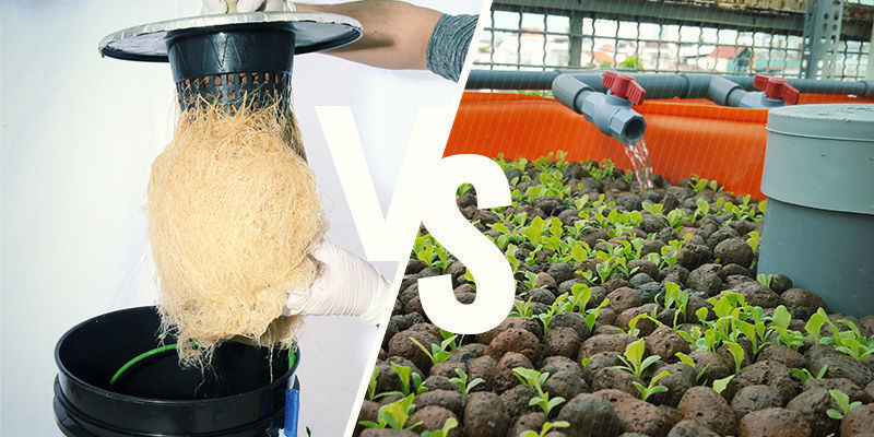 Aeroponics Vs Hydroponics: Which Is Better? Aeroponics vs Hydroponics: Which Is Better?