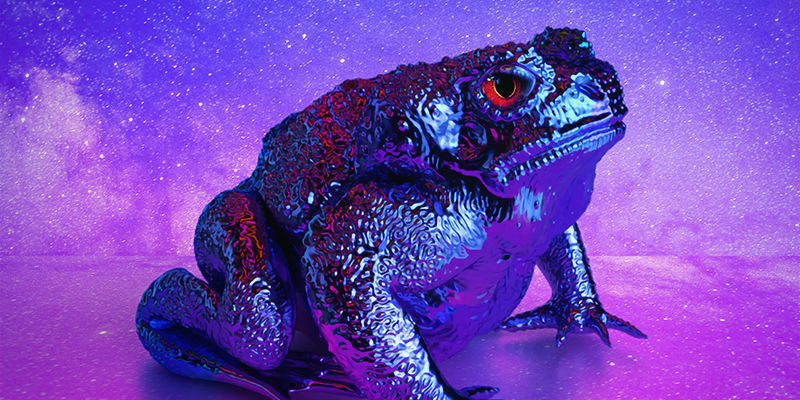 DMT DMT
