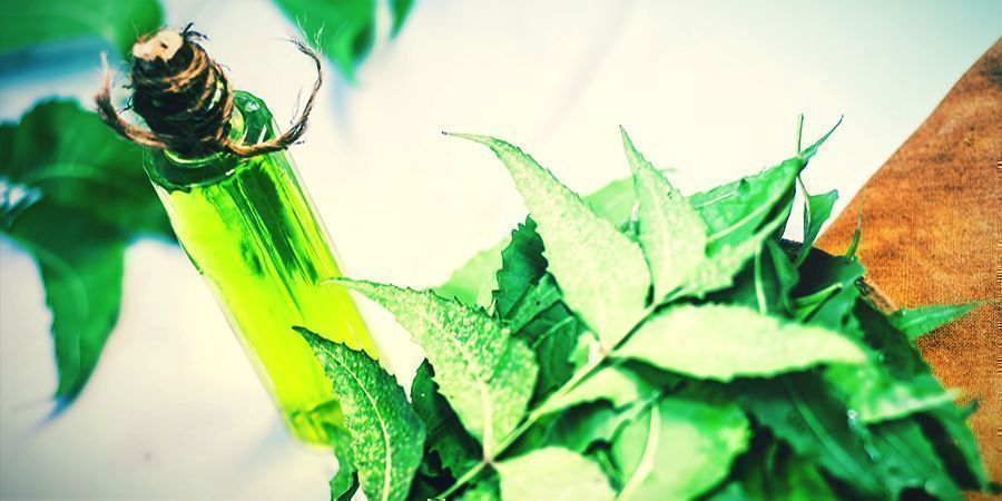Neem Oil Neem Oil - foliar spray your cannabis