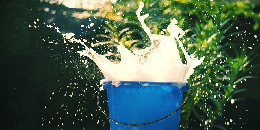 Kaliumsæbe Potassium Soap - foliar spray your cannabis