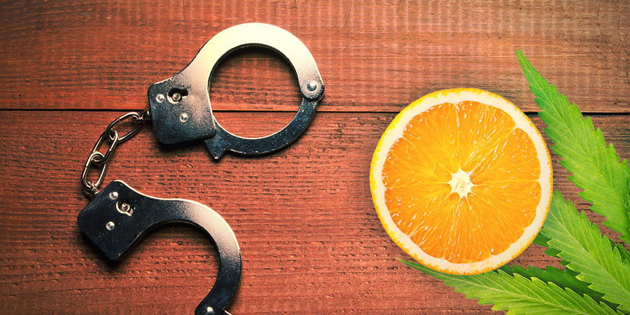 Agent Orange: Smag & effekter AGENT ORANGE: FLAVOUR & EFFECTS