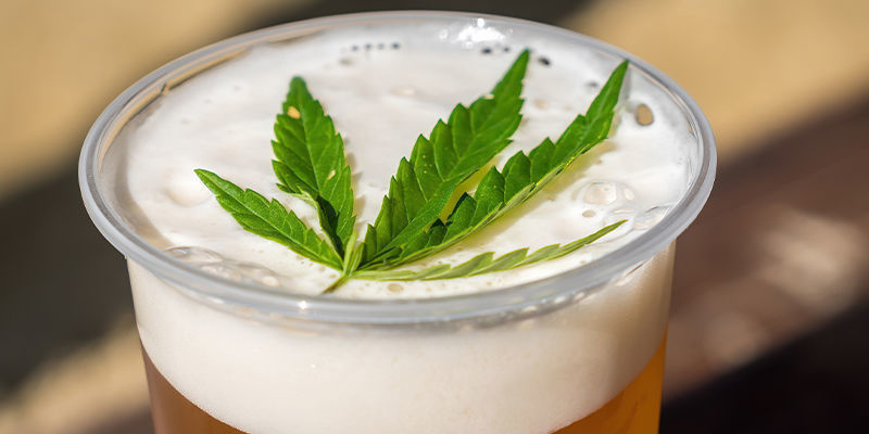 Cannabisøl Cannabis Beer