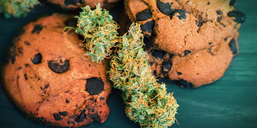 Girl Scout Cookies: Smag & effekter GIRL SCOUT COOKIES: FLAVOUR & EFFECTS