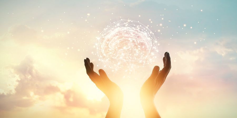 Magiske svampe forbinder hjernen på nye måder MAGIC MUSHROOMS CONNECT THE BRAIN ON NEW LEVELS