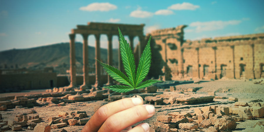 En kort historie om hamp A BRIEF HISTORY OF HEMP