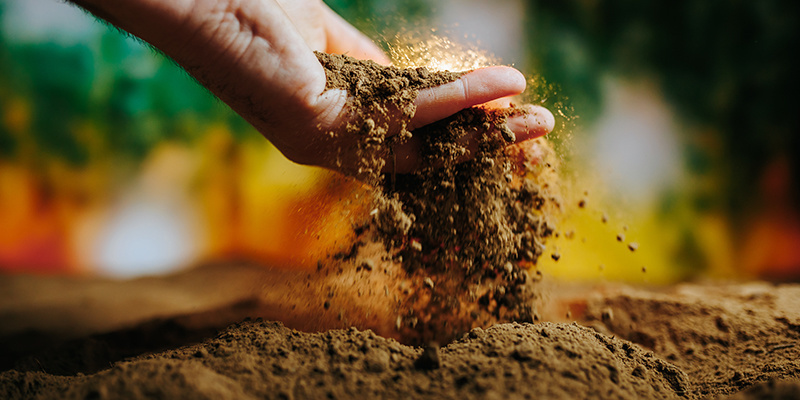 Tip #4: Dyrk cannabis i den rigtige jord/det rigtige medium Tip #4: Grow your weed in the right soil/medium