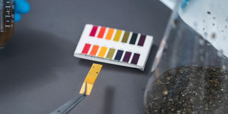 Tip #7: Vedligehold pH-værdien korrekt i din cannabisafgrøde Tip #7: Properly maintain the pH of your cannabis crop
