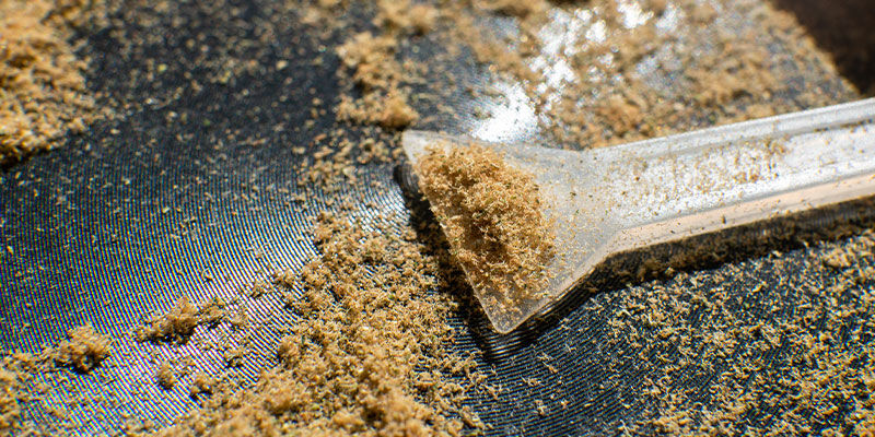 Hvad er kief? Hvad er kief?
