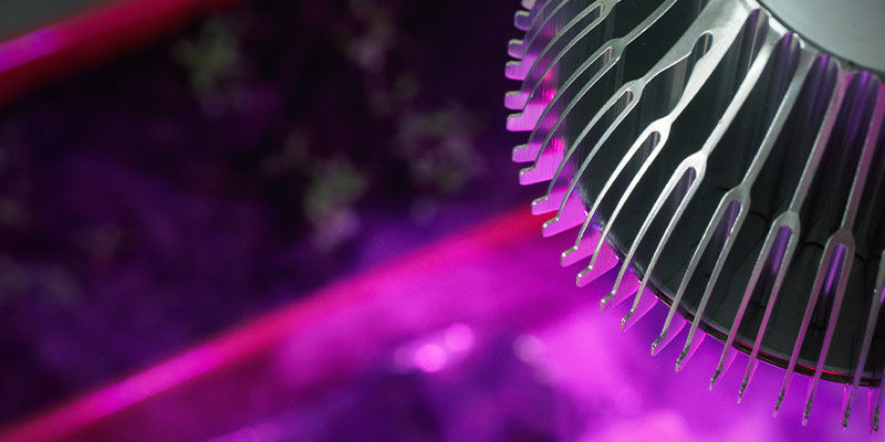 Hvilket lyspektrum er bedst til Autoflowering-cannabis? Hvilket lyspektrum er bedst til Autoflowering-cannabis?