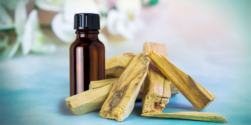 Sådan brænder du palo santo-æterisk olie Sådan brænder du palo santo-æterisk olie