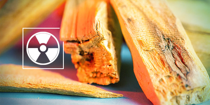 Er palo santo-træ giftigt? Er palo santo-træ giftigt?