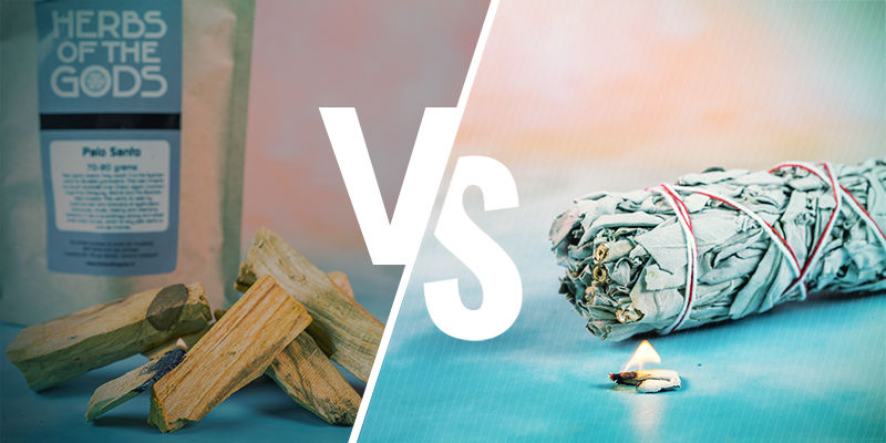 Palo Santo-træ vs salvie Palo Santo-træ vs salvie