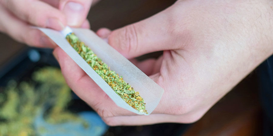Opbygning af cannabistolerance: Hvad betyder det? Opbygning af cannabistolerance: Hvad betyder det?