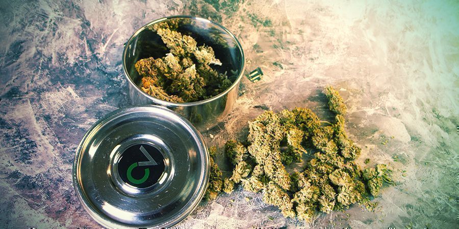 CVault opbevaring af cannabis CVault storing Weed