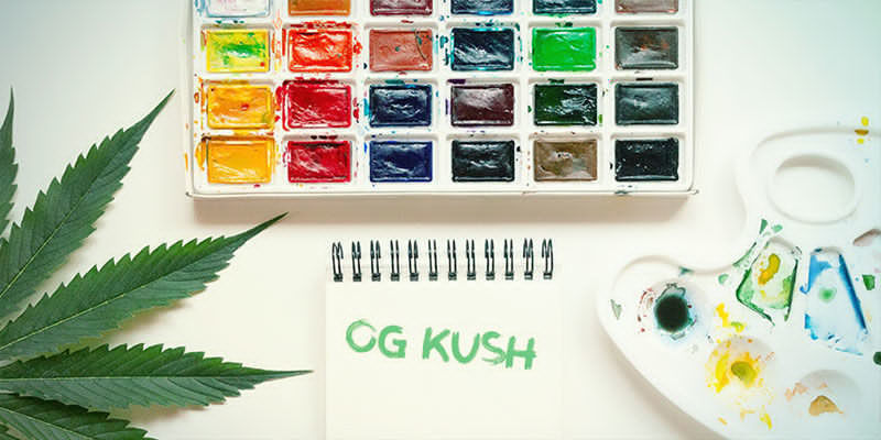 Kendetegn ved OG Kush Characteristics of OG Kush