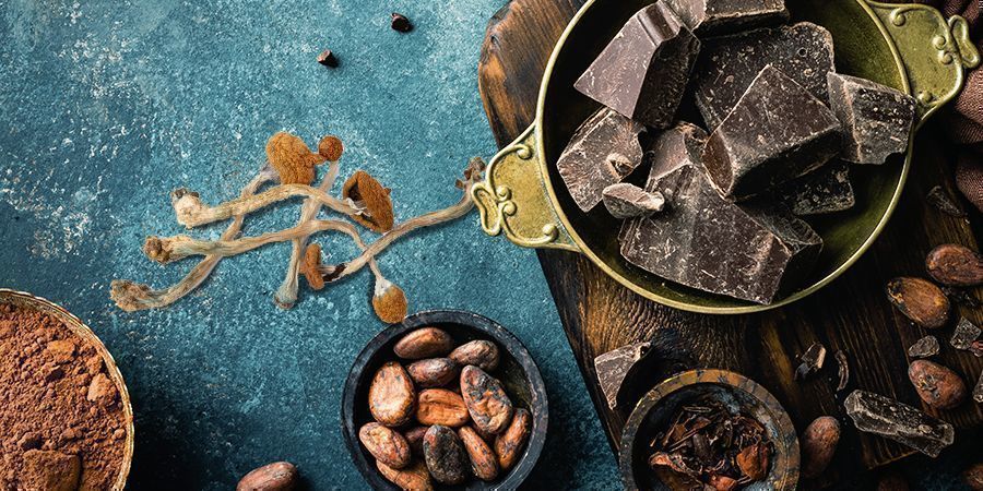 Magiske svampe-chokolader
