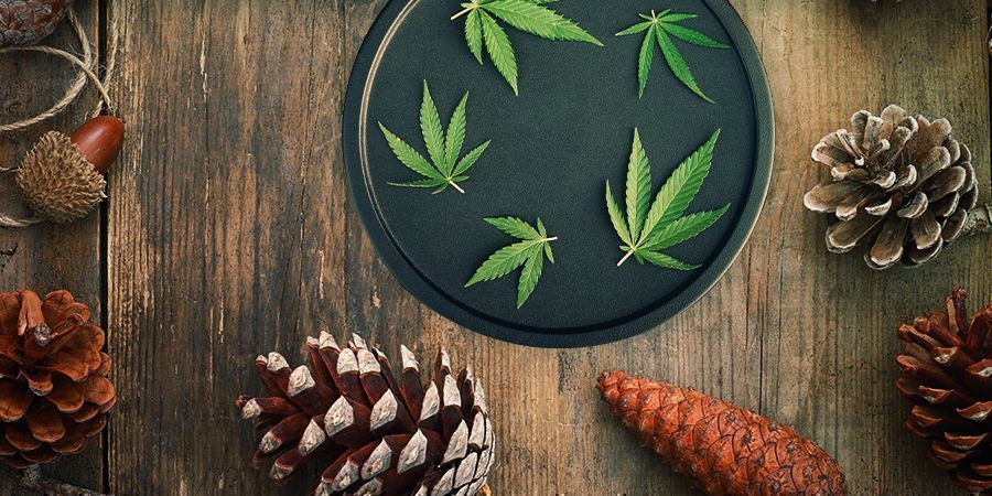 Master Kush: Smag & effekter MASTER KUSH: FLAVOUR & EFFECTS