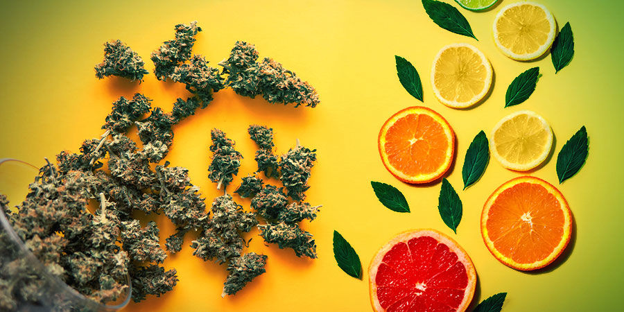 Sour Diesel : Smag & effekter Sour Diesel : Smag & effekter