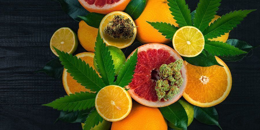 White Widow: Smag og virkninger White Widow: Flavour And Effects