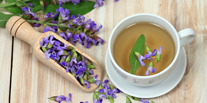 Hvordan virker Salvia divinorum? Hvordan virker Salvia divinorum?