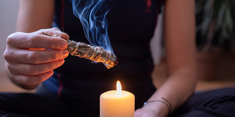 Hvor kan man købe Salvia divinorum, og sikkerhedsovervejelser Hvor kan man købe Salvia divinorum, og sikkerhedsovervejelser