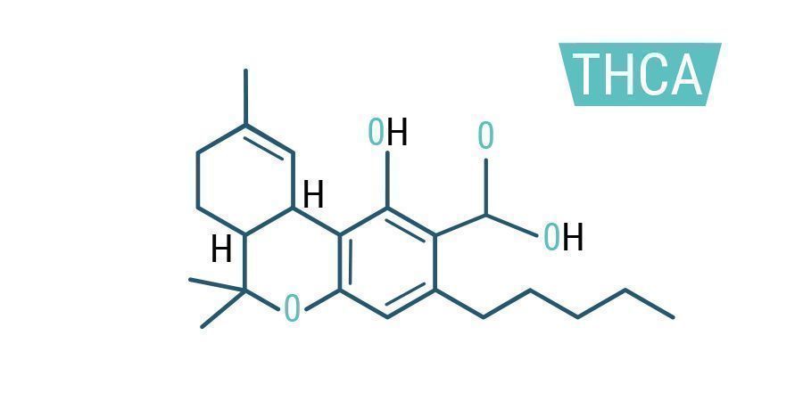 THCA THCA
