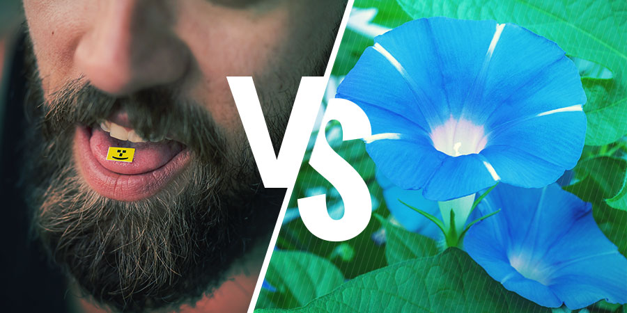 LSD vs LSA LSD vs LSA