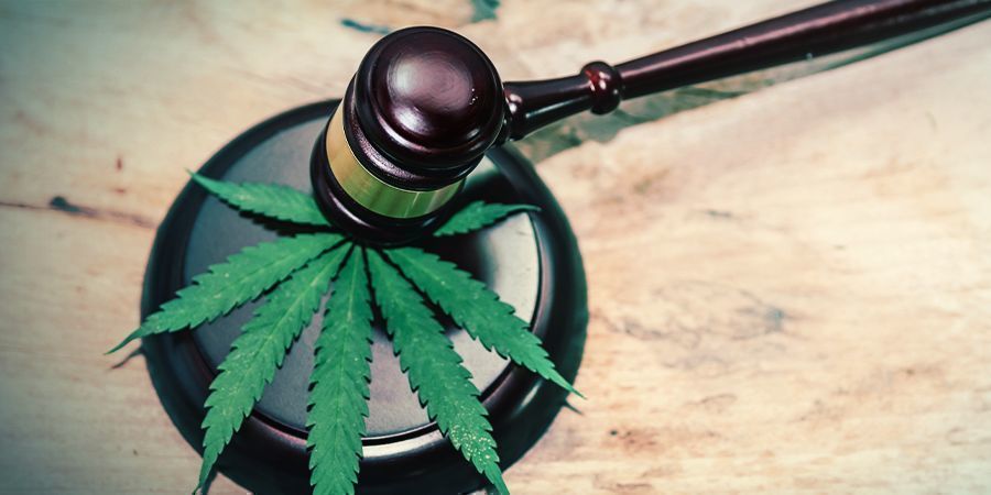 Hvad er legal highs? WHAT ARE LEGAL HIGHS?