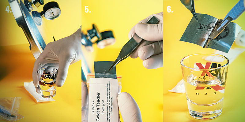 Trinvis vejledning til sporesprøjte: trin 4-6 Spore Syringe Step-By-Step Directions: Steps 4-6