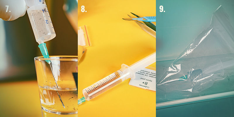 Trinvis vejledning til sporesprøjte: trin 7-9 Spore Syringe Step-By-Step Directions: Steps 7-9