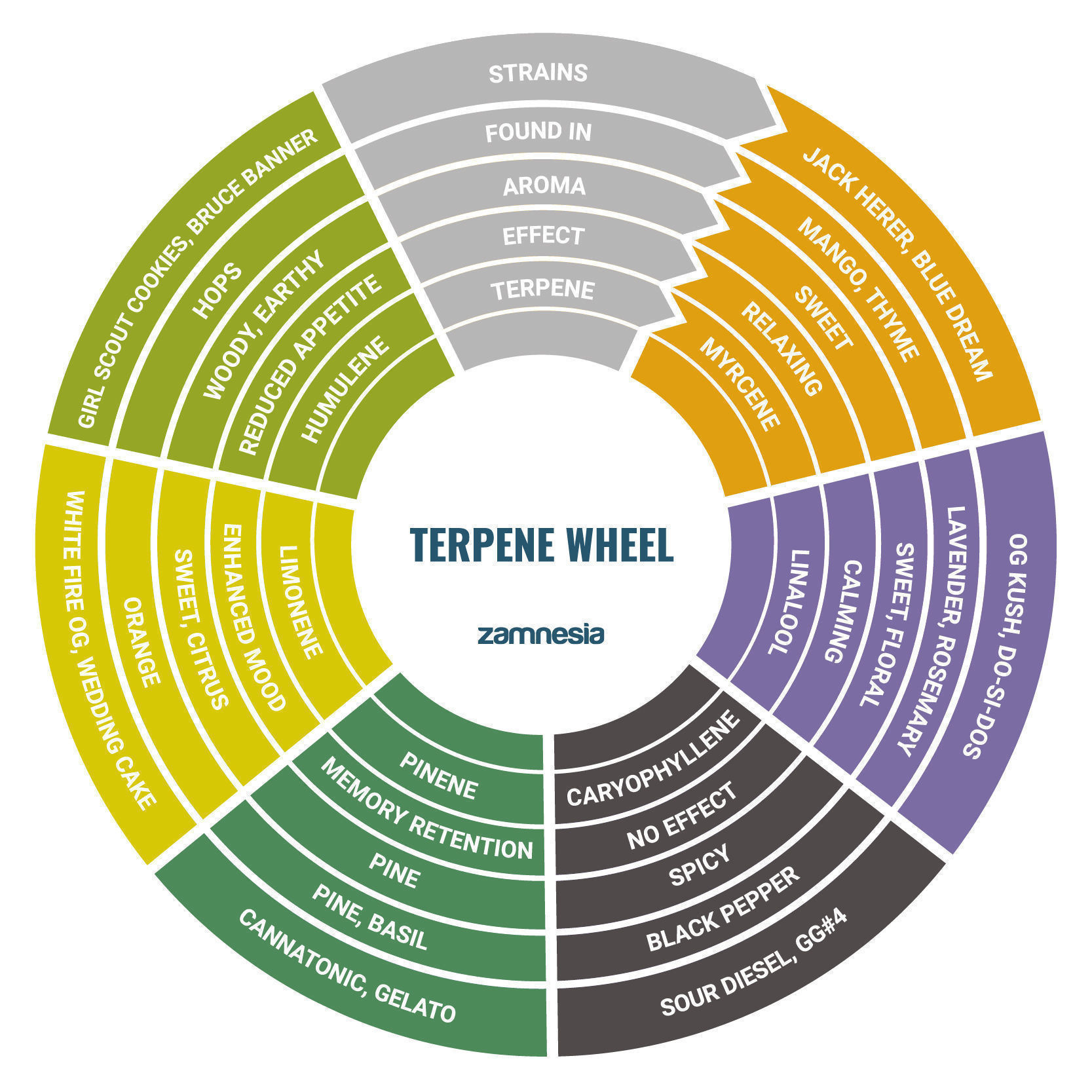 Terpenhjul Terpenhjul