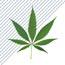 Hvor l&aelig;nge bliver cannabinoider i kroppen?