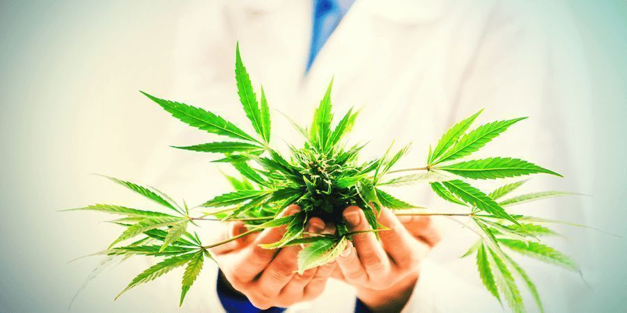 Hvad gør CBD?