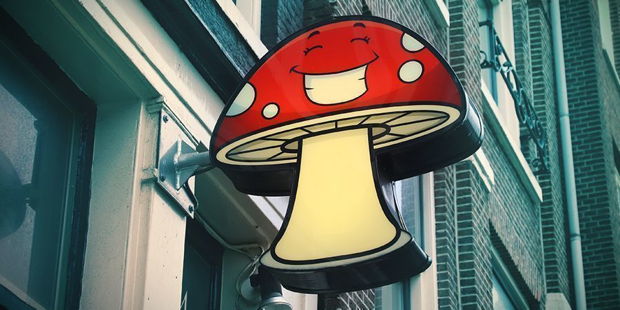 Den moderne tid – dyrkning & forbud DEN MODERNE TID – DYRKNING & FORBUD